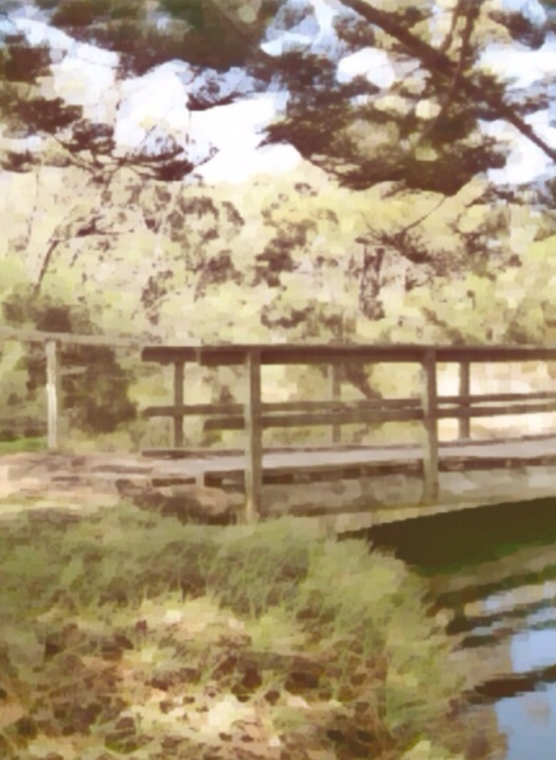 Colour Gives it Rhyme